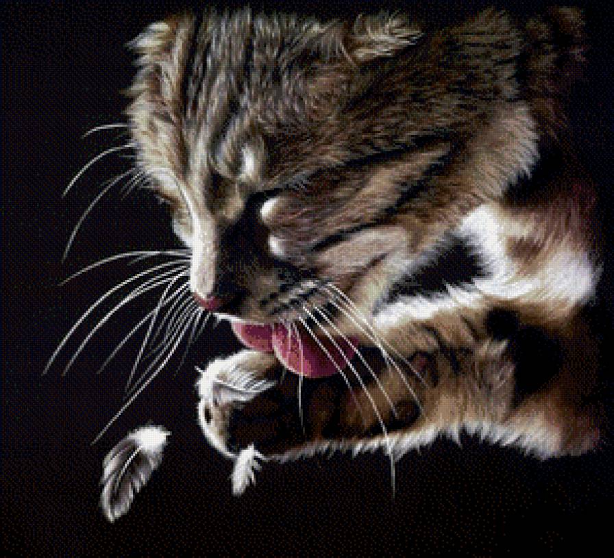 после вкусного обеда - перья, кот, обед - предпросмотр