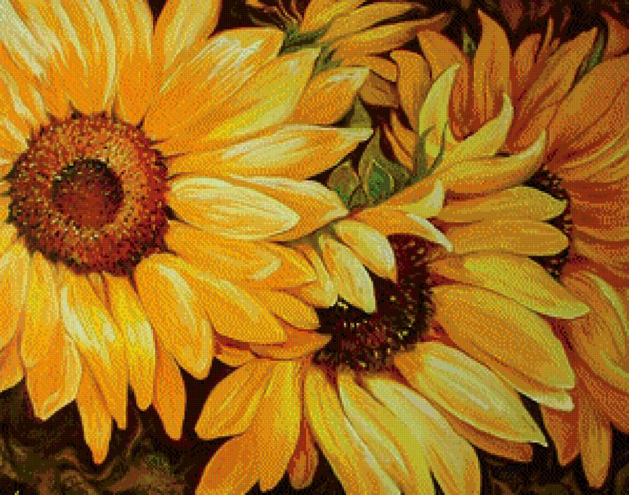 Солнечный цветок - цветы, подсолнухи - предпросмотр