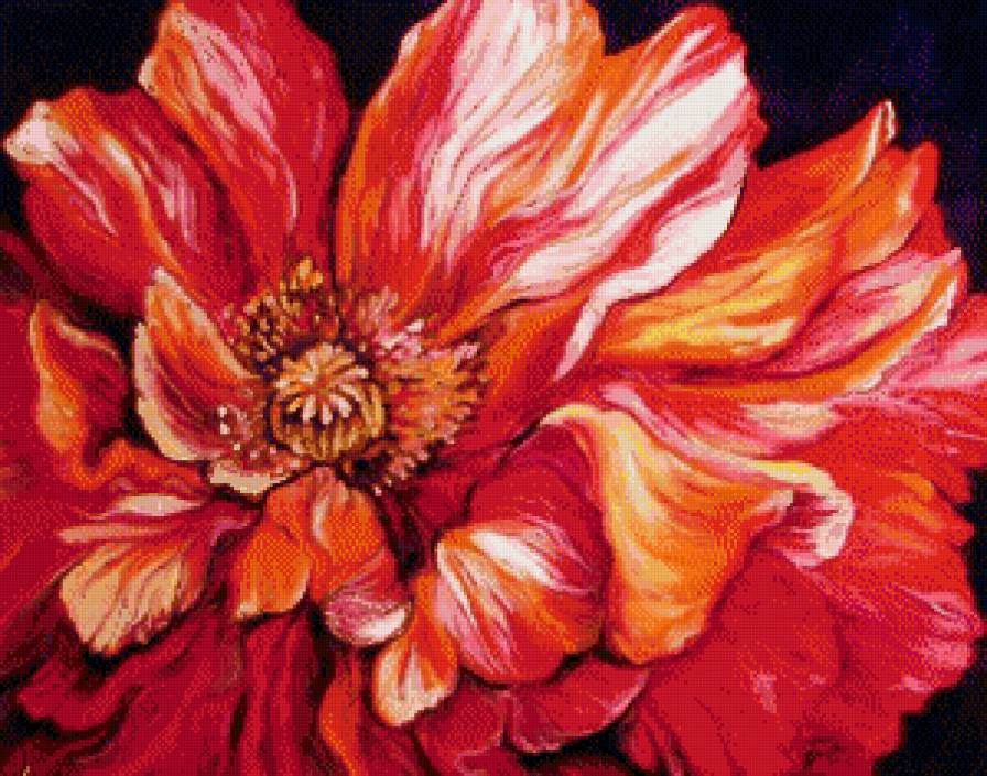 Красный пион - цветы, пионы - предпросмотр