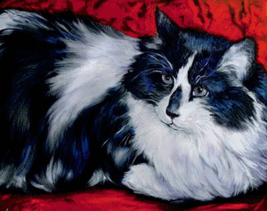 Киса - животные, кошки - предпросмотр