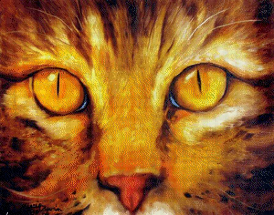 Кошачий взгляд - животные, кошки - предпросмотр