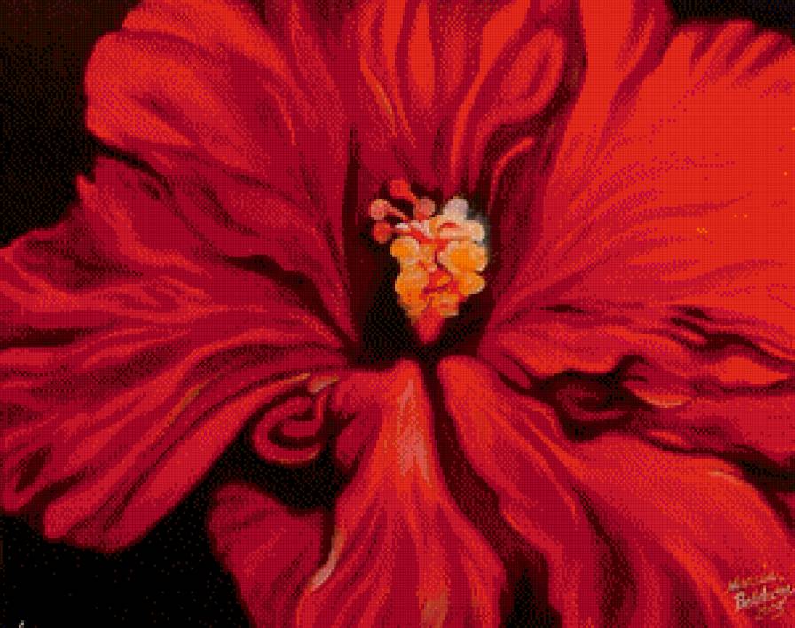 Краски лета - гибискусы, цветы - предпросмотр