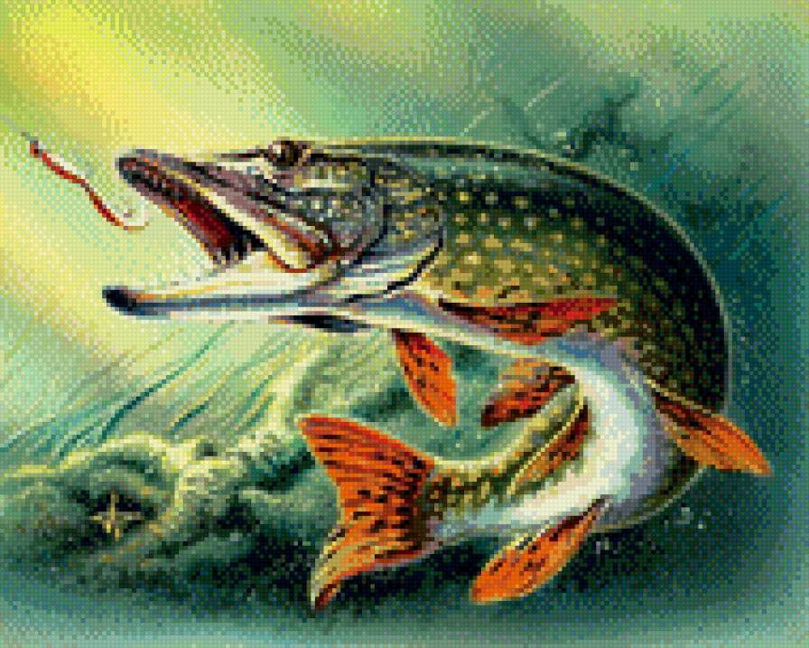 0173 - красота, картина, природа, щука, вода, рыба - предпросмотр