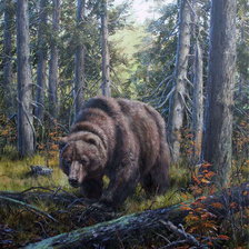 Оригинал схемы вышивки «медвежья тропа» (№512959)
