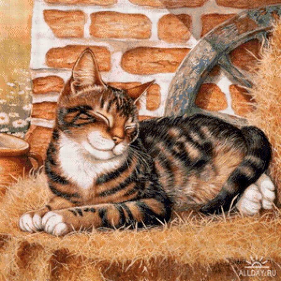 спящий кот - кошка, животные - предпросмотр