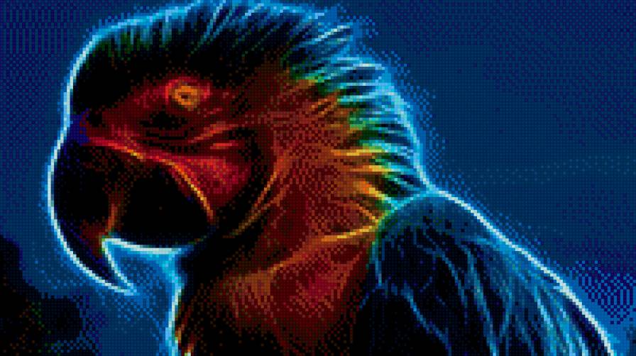 попка - предпросмотр