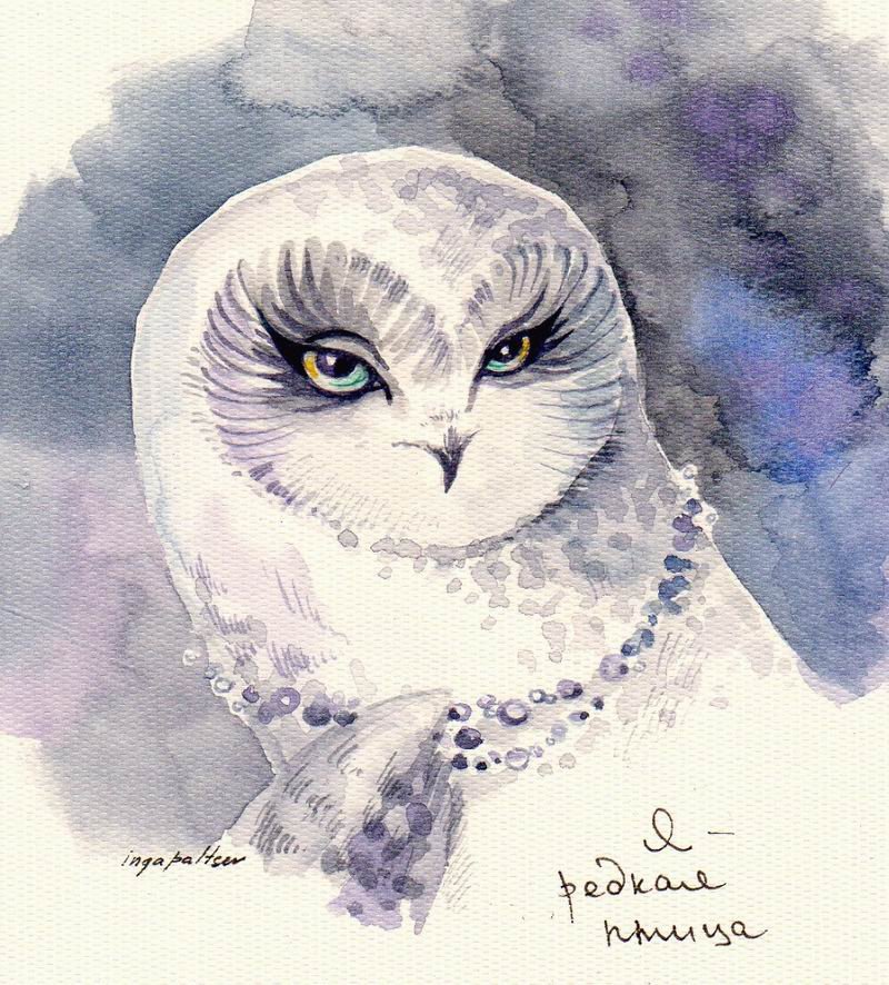 сова - птичка - оригинал