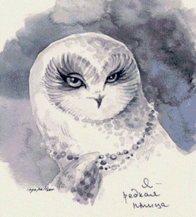 сова - птичка - предпросмотр