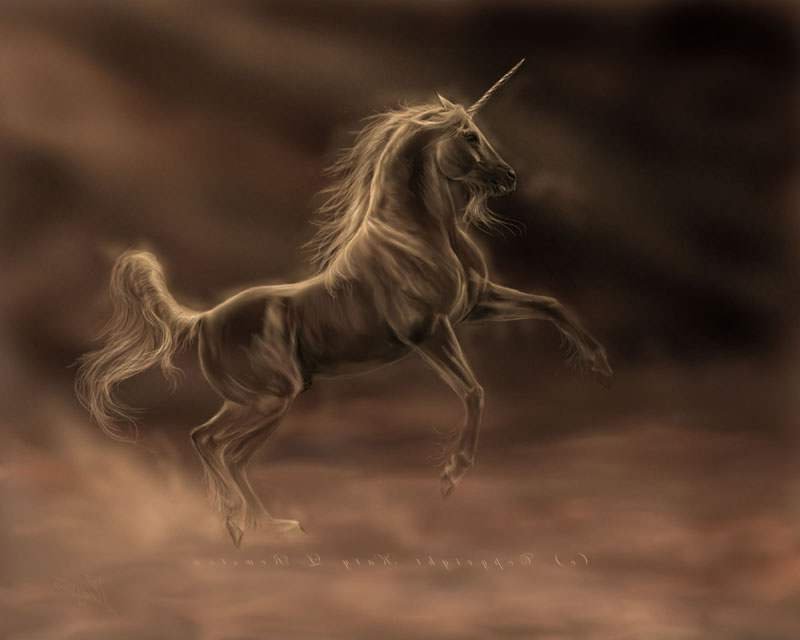 единорог монохром - лошади, кони, чорнобелое, единороги, животные, монохром - оригинал