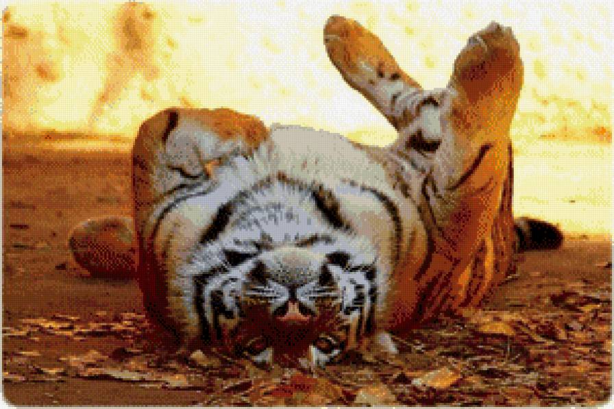 Тигра - предпросмотр