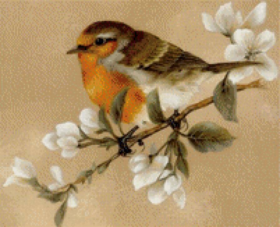 на веточке яблони - цветы, куст.дерево, магнолия, птички, веточка - предпросмотр