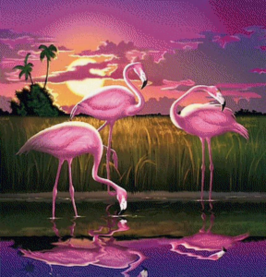Фламинго на закате - фламинго, закат, пейзаж - предпросмотр