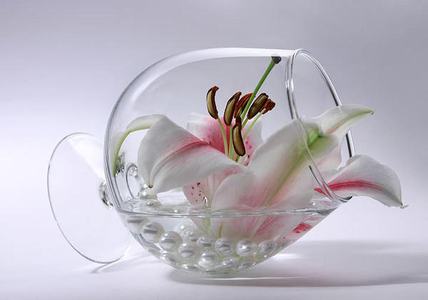 лилия в бокале - натюрморт, картина, цветы - оригинал