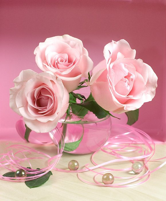 три розы и жемчуг - натюрморт, цветы, картина - оригинал
