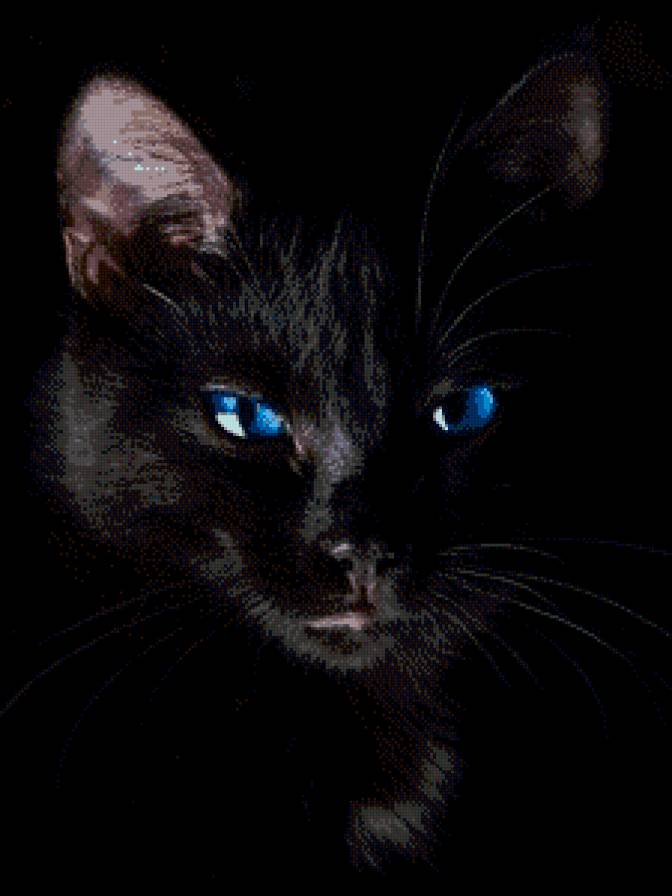 синие глазки - кот, глаза, котик - предпросмотр