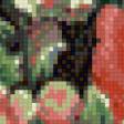 Предпросмотр схемы вышивки «Букет цветов» (№513359)