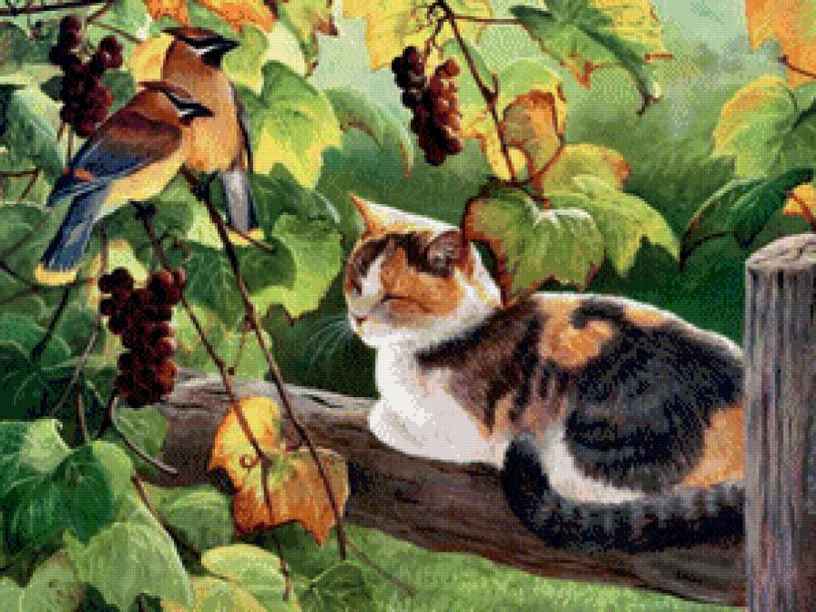 Кошка и птицы - природа, кошки, село, лето - предпросмотр