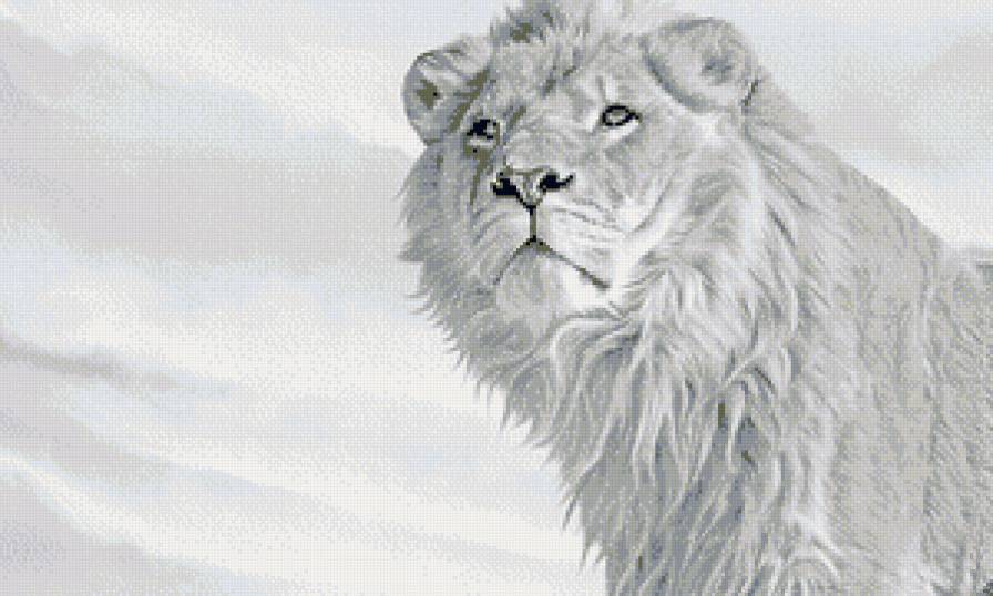 Царь зверей-лев - животные, большие кошки, лев, монохром - предпросмотр