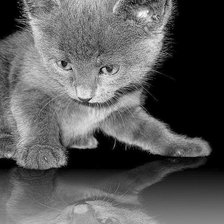 Схема вышивки «Отражение»