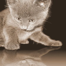 Схема вышивки «Отражение»