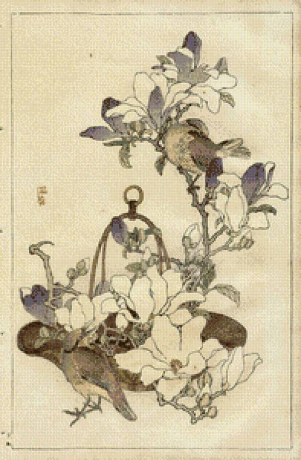 птицы - птицы, цвет, живопись - предпросмотр