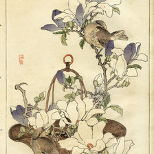 Оригинал схемы вышивки «птицы» (№513512)