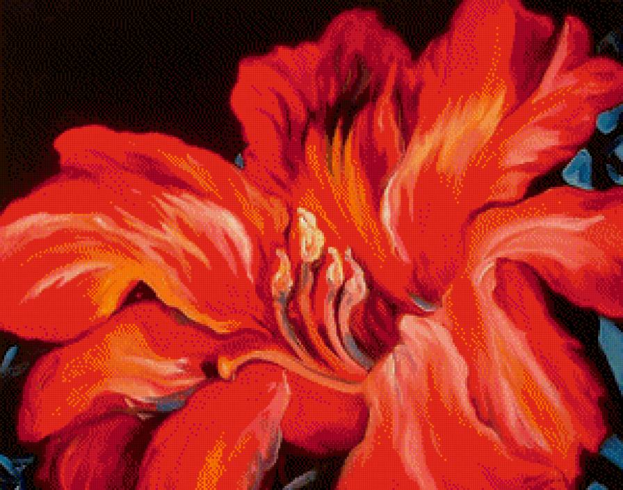 Магия красного - гибискусы, цветы - предпросмотр