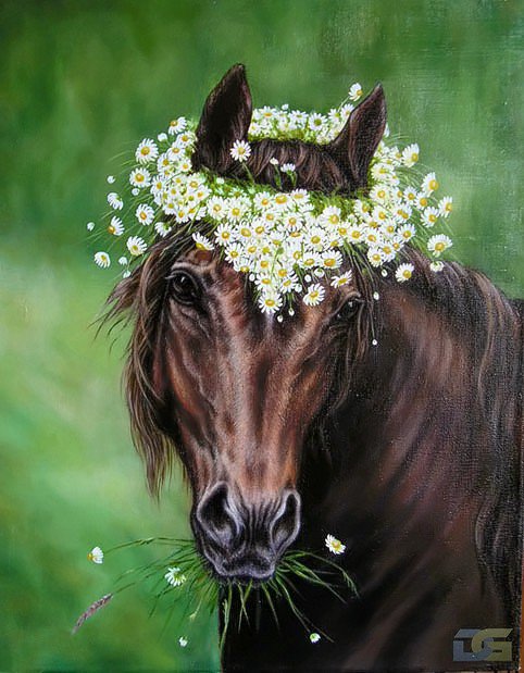 Венок из ромашек - кони, животные, ромашки, лошади, цветы - оригинал