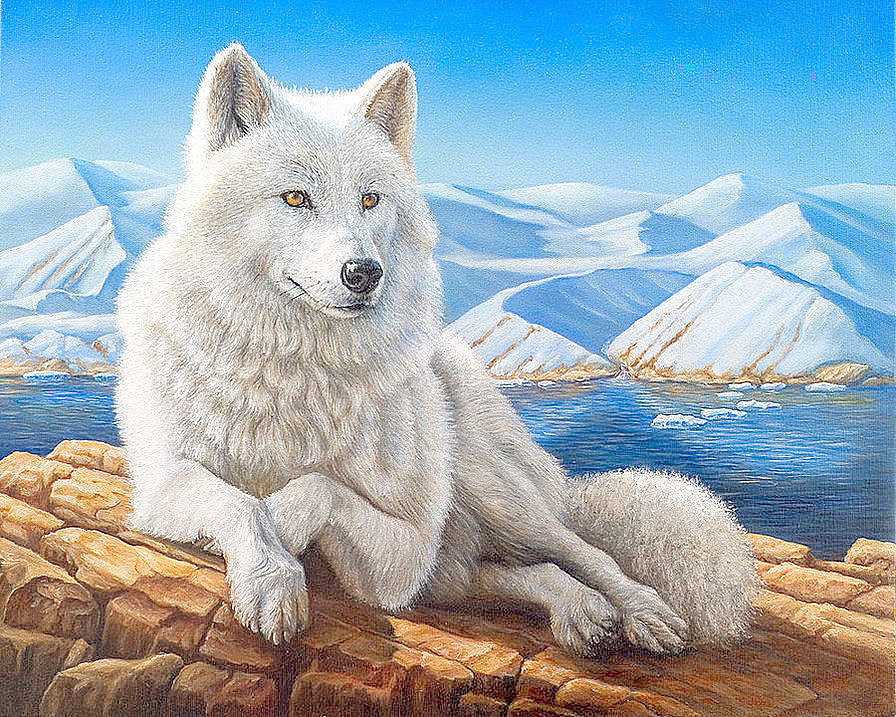 Белый волк - животные, волки - оригинал