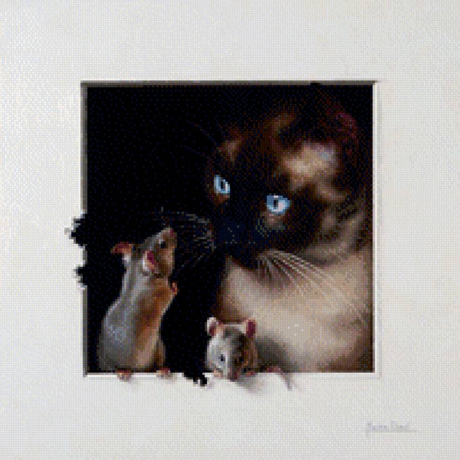 Котик с мышками - коты, животные - предпросмотр