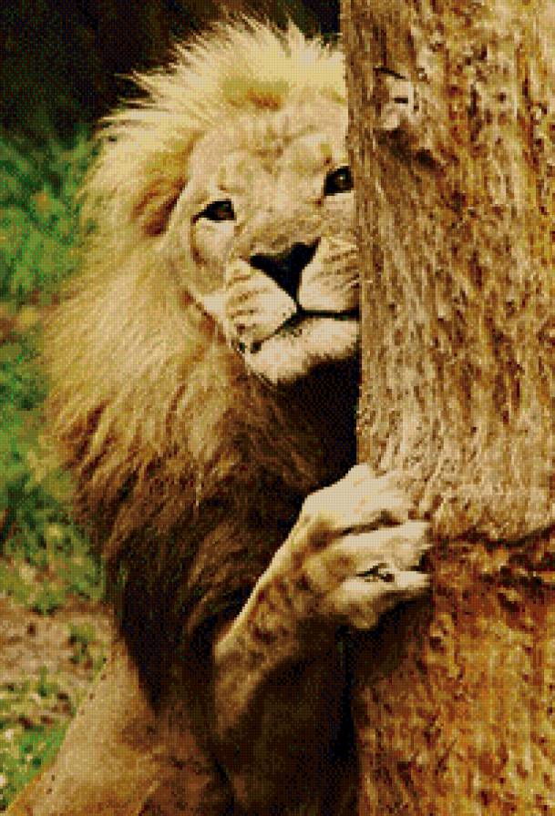 Лев - предпросмотр