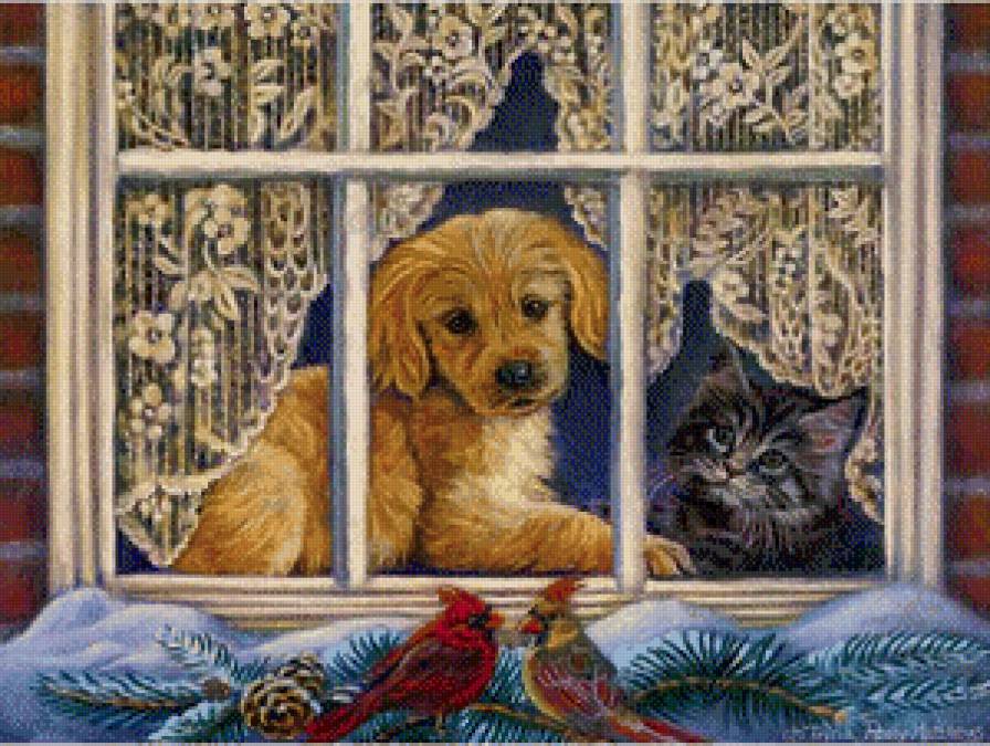 За окном - кошки, собаки - предпросмотр