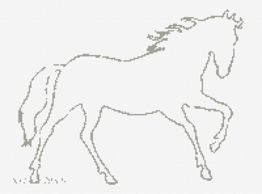 Лошадь - животные, лошадь - предпросмотр