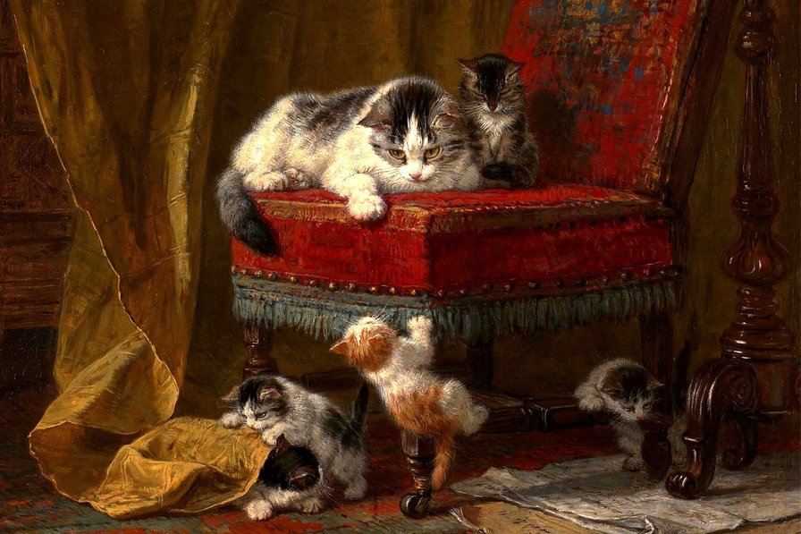 Шалуны - коты, животные - оригинал