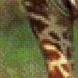 Предпросмотр схемы вышивки «Нежность мамы-жирафа» (№514344)