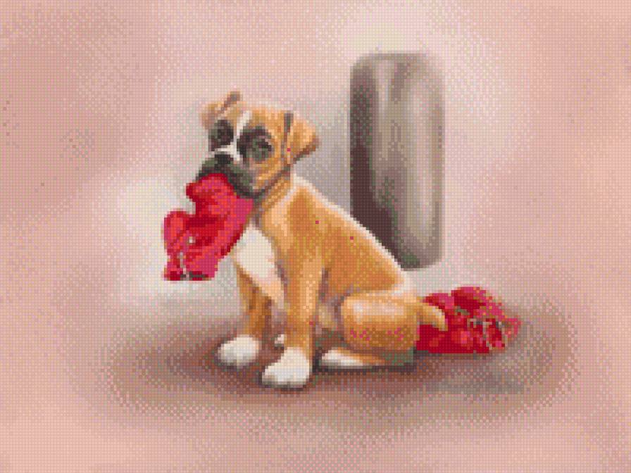 Боксер - собаки - предпросмотр