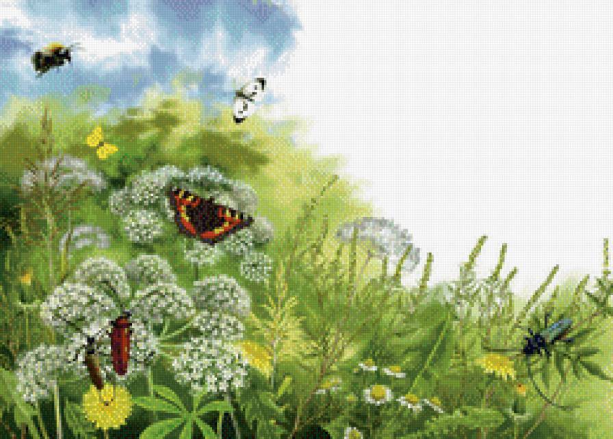 №514469 - предпросмотр