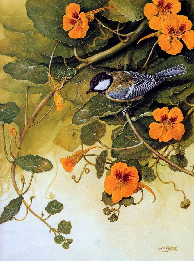 №514489 - оригинал