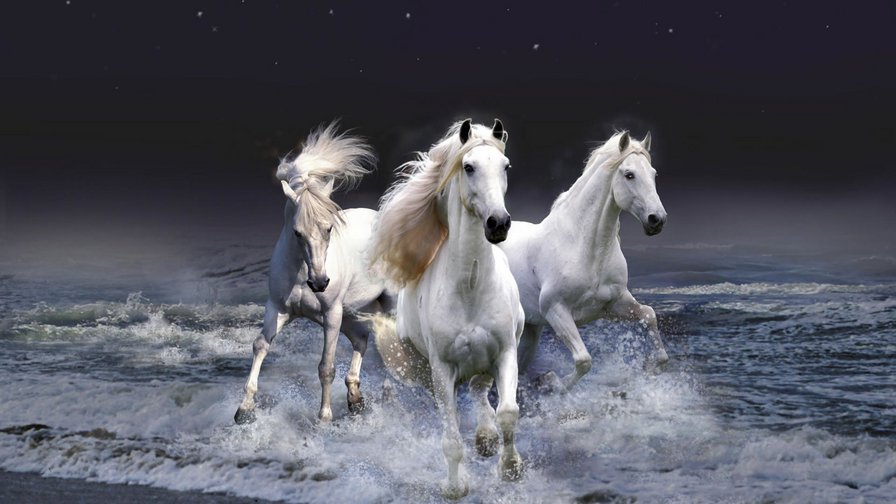 Три лошади - ночь, море - оригинал