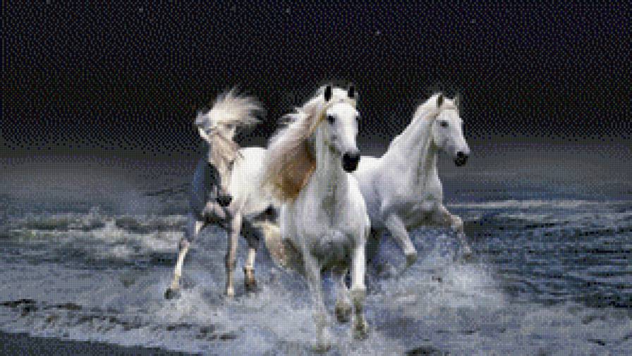 Три лошади - море, ночь - предпросмотр