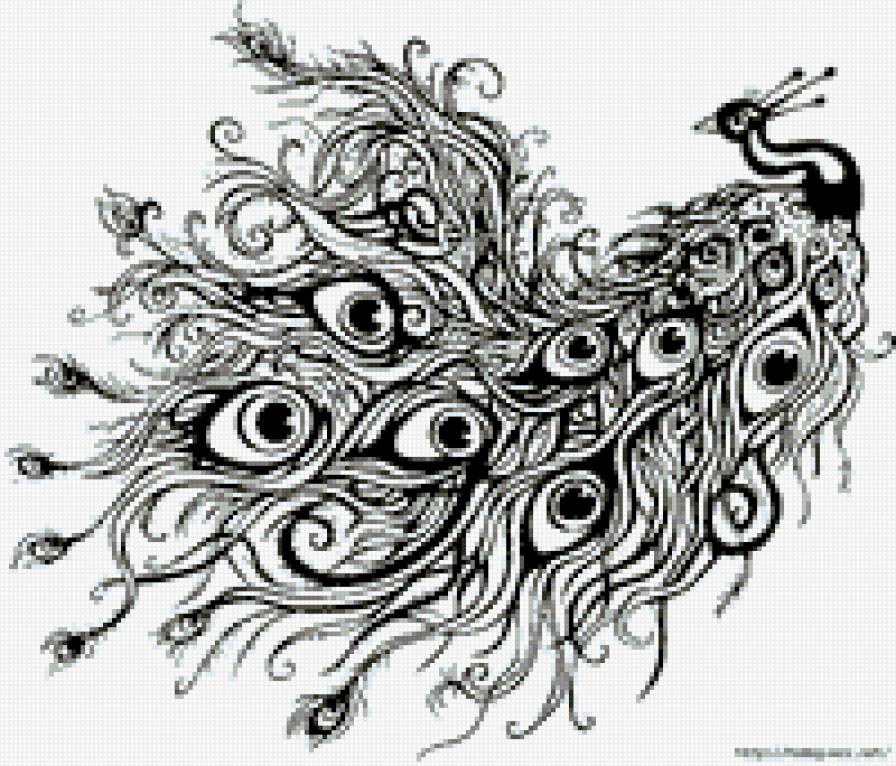 пав  волшеб черн - предпросмотр