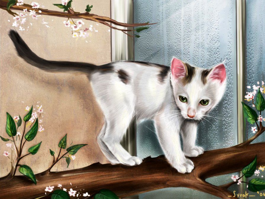 Котенок на ветке - животные, коты - оригинал