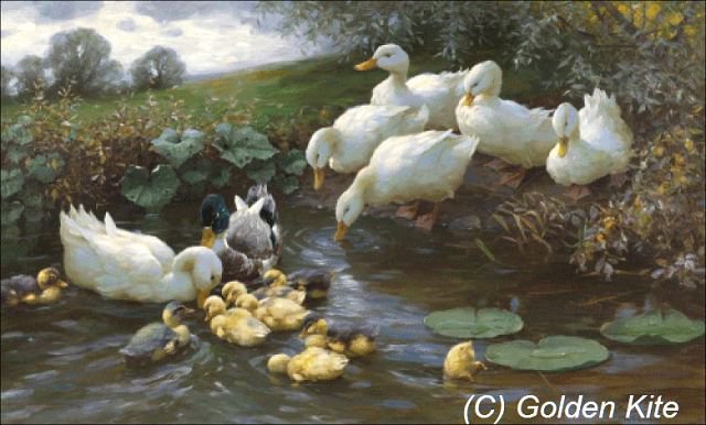 уточки - оригинал