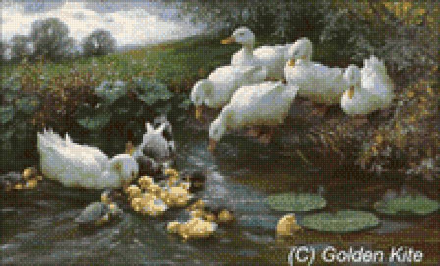 уточки - предпросмотр