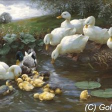 Схема вышивки «уточки»