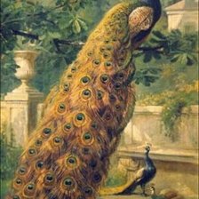 Схема вышивки «павлины»