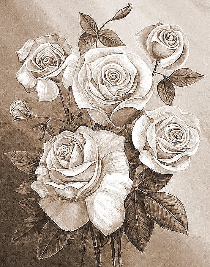 Розы - розы, цветы, сепия, монохром - оригинал