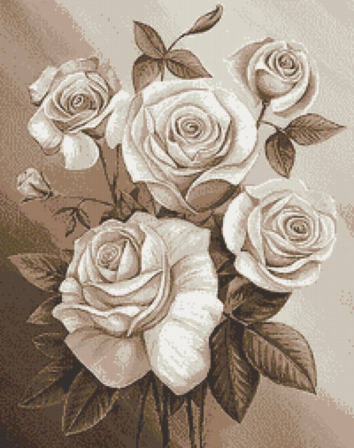 Розы - цветы, сепия, розы, монохром - предпросмотр