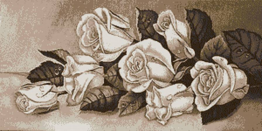 Розы - цветы, розы, монохром, сепия - предпросмотр