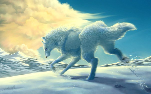 волк - один, волк, одиночка, зима - оригинал